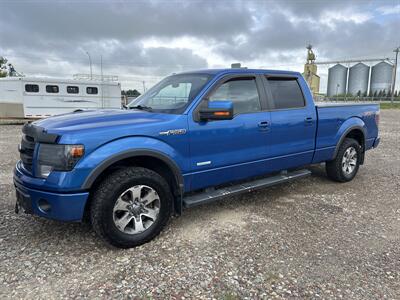 2014 Ford F-150 FX4   - Photo 1 - Magrath, AL 21804