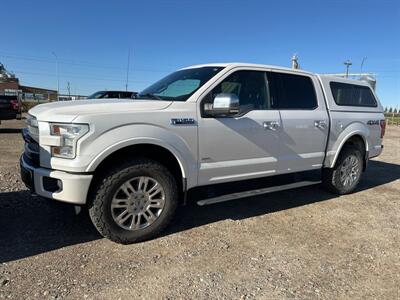 2016 Ford F-150 Platinum   - Photo 1 - Magrath, AL 21804