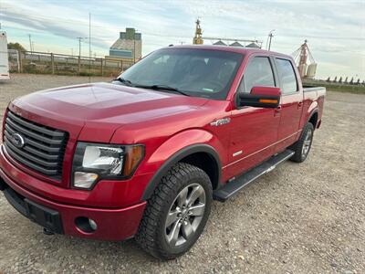 2012 Ford F-150 FX4   - Photo 1 - Magrath, AL 21804