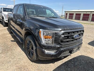 2021 Ford F-150 XLT   - Photo 7 - Magrath, AL 21804