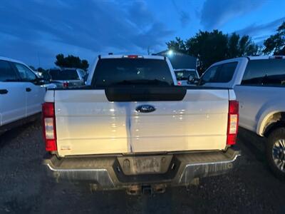 2020 Ford F-250 Super Duty XLT   - Photo 4 - Magrath, AL 21804