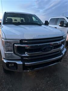 2020 Ford F-250 Super Duty XLT   - Photo 8 - Magrath, AL 21804