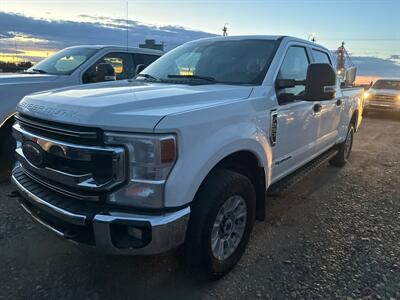 2020 Ford F-250 Super Duty XLT   - Photo 1 - Magrath, AL 21804