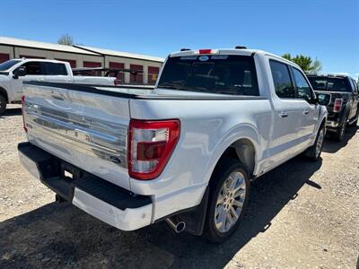 2023 Ford F-150 Limited   - Photo 3 - Magrath, AL 21804