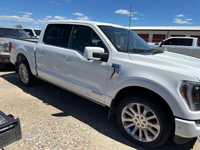 2023 Ford F-150 Limited   - Photo 4 - Magrath, AL 21804