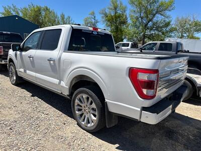 2023 Ford F-150 Limited   - Photo 2 - Magrath, AL 21804