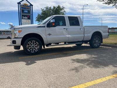 2016 Ford F-350 Super Duty Platinum   - Photo 1 - Magrath, AL 21804