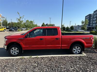 2018 Ford F-150 XLT   - Photo 2 - Magrath, AL 21804