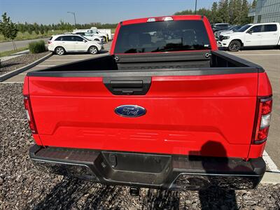 2018 Ford F-150 XLT   - Photo 7 - Magrath, AL 21804