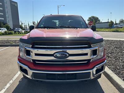 2018 Ford F-150 XLT   - Photo 6 - Magrath, AL 21804