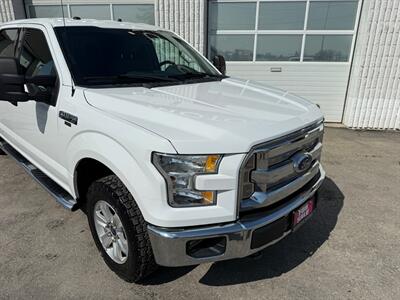 2016 Ford F-150 XLT   - Photo 5 - Winnipeg, MB R2J 3T3