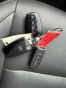 2018 Hyundai SANTA FE XL Luxury   - Photo 20 - Winnipeg, MB R2J 3T3