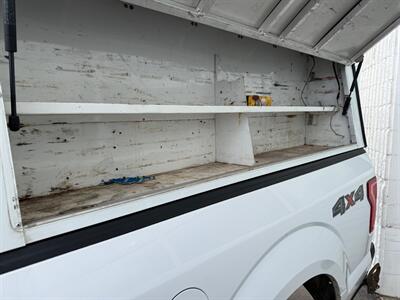 2015 Ford F-150 XLT Work Truck   - Photo 9 - Winnipeg, MB R2J 3T3