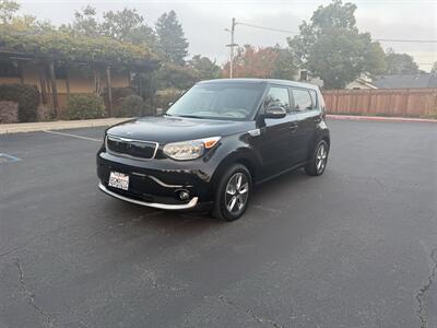 2019 Kia Soul EV + Wagon