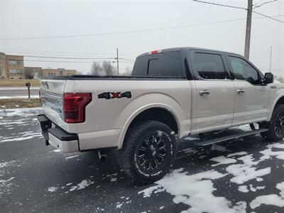 2015 Ford F-150 Platinum   - Photo 9 - Du Quoin, IL 62832