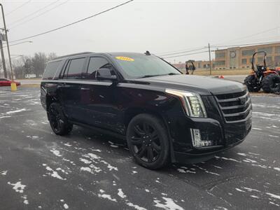 2016 Cadillac Escalade Premium Collection - Photo 5 - Du Quoin, IL 62832