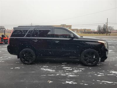 2016 Cadillac Escalade Premium Collection - Photo 6 - Du Quoin, IL 62832