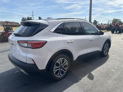2020 Ford Escape SEL - Photo 4 - Du Quoin, IL 62832