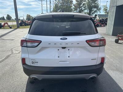 2020 Ford Escape SEL - Photo 5 - Du Quoin, IL 62832