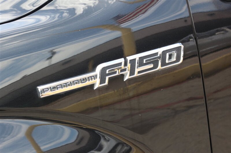 2011 Ford F-150 Platinum - Photo 15 - Arlington, TX 76011