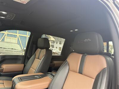 2021 Chevrolet Silverado 2500 High Country - Photo 11 - Mount Clemens, MI 48043