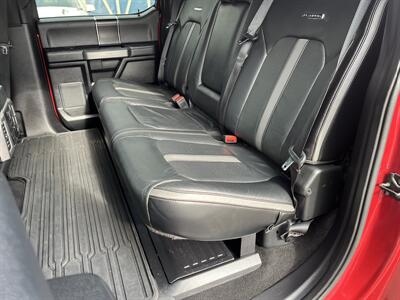 2019 Ford F-250 Super Duty Platinum  Ultimate Package - Photo 17 - Mount Clemens, MI 48043