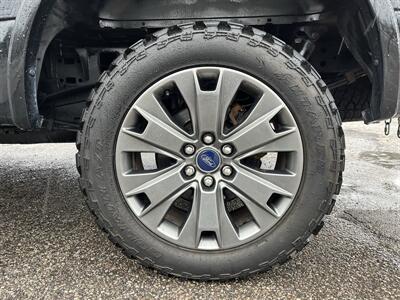 2017 Ford F-150 XLT  FX4 Off Road-SPORT-Special Edition Packages - Photo 7 - Mount Clemens, MI 48043