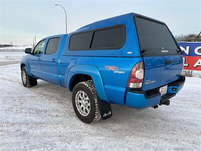 2009 Toyota Tacoma DOUBLE CAB  TRD SPORT - Photo 6 - Edmonton, AB T6V 1H4