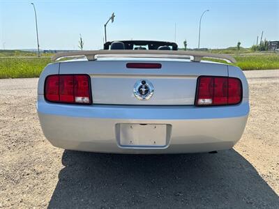 2006 Ford Mustang V6 AUTO  convertible - Photo 5 - Edmonton, AB T6V 1H4