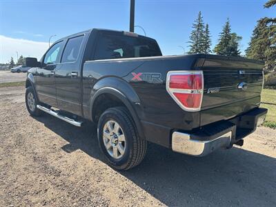 2013 Ford F-150 XTR  CREW CAB ONE OWNER - Photo 7 - Edmonton, AB T6V 1H4