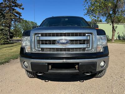 2013 Ford F-150 XTR  CREW CAB ONE OWNER - Photo 2 - Edmonton, AB T6V 1H4