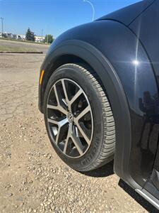 2016 Volkswagen Beetle-Classic 1.8T Dune   - Photo 8 - Edmonton, AB T6V 1H4