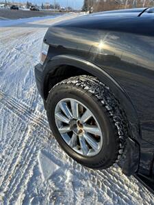 2009 INFINITI QX56   - Photo 7 - Edmonton, AB T6V 1H4