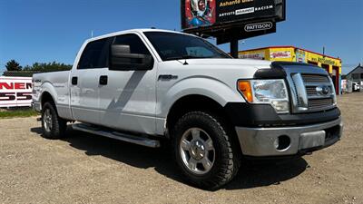 2010 Ford F-150 XL   - Photo 3 - Edmonton, AB T6V 1H4