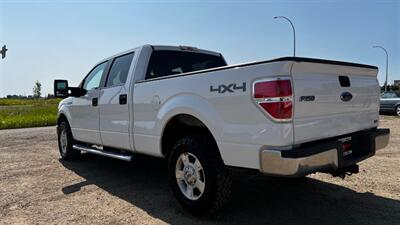 2010 Ford F-150 XL   - Photo 7 - Edmonton, AB T6V 1H4