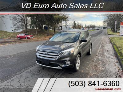 2019 Ford Escape SE  