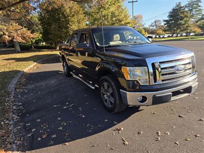 2010 Ford F-150 XL Truck