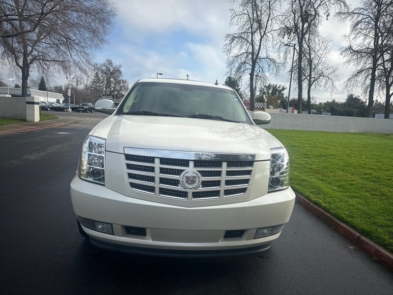 Cadillac Escalade's photo