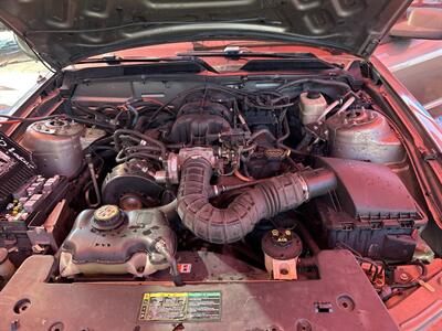 2005 Ford Mustang V6 Deluxe   - Photo 8 - Chula Vista, CA 91911
