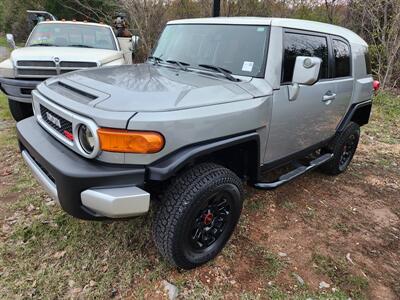 2010 Toyota FJ Cruiser  