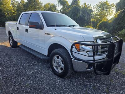2009 Ford F-150 XLT   - Photo 2 - Waverly, TN 37185