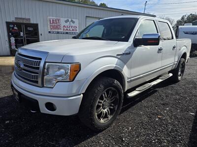 2010 Ford F-150 Platinum   - Photo 1 - Waverly, TN 37185