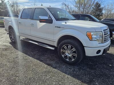 2010 Ford F-150 Platinum   - Photo 2 - Waverly, TN 37185