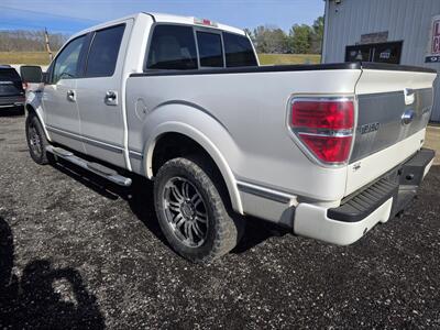 2010 Ford F-150 Platinum   - Photo 4 - Waverly, TN 37185