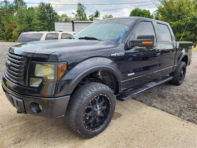 2011 Ford F-150 FX4   - Photo 1 - Waverly, TN 37185