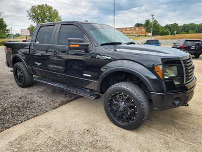 2011 Ford F-150 FX4   - Photo 2 - Waverly, TN 37185