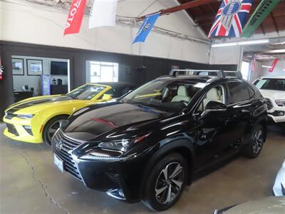 2019 Lexus NX 300  