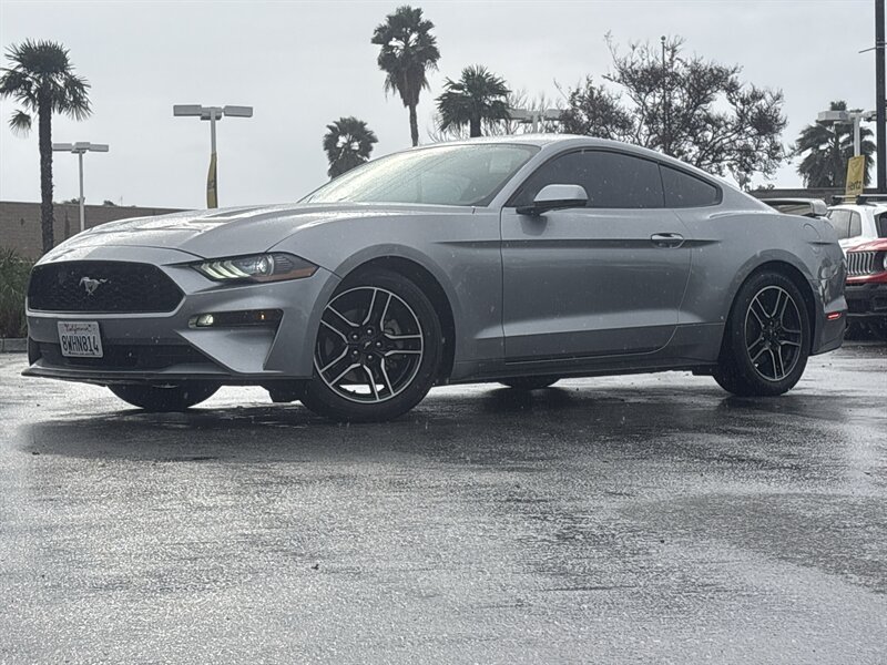 2020 Ford Mustang EcoBoost's photo