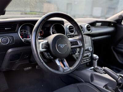 2023 Ford Mustang EcoBoost   - Photo 9 - San Jose, CA 95126