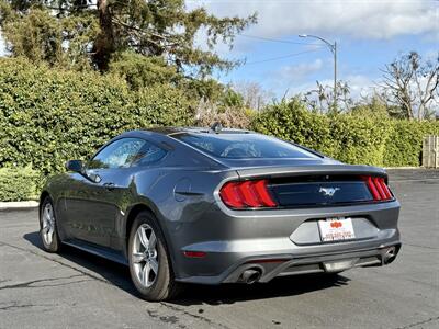 2023 Ford Mustang EcoBoost   - Photo 3 - San Jose, CA 95126